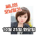 써니공인중개사사무소 이미지