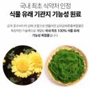 숨스토어 | [그린스토어] 기침가래로 답답할 때 시원하게 채우는 기관지건강 숨엔쿨