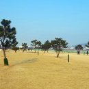 안동파크 이미지