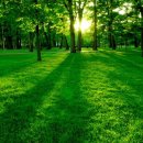 구침가한의원 이미지