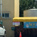 지경리 | [강아지동반여행] 강원도 양양 지경리 해수욕장 애견비치 당일치기 후기