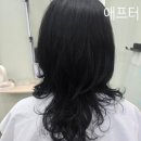 안경매니져 노은점 | 대전 원신흥동 미용실 유성구 미용실 송인원 미장