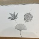 예솜아뜰리에 네이버블로그