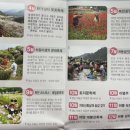 쌍계목장 이미지