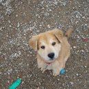 치우농장 이미지