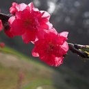 바우길 15구간 이미지