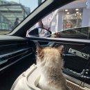 네네치킨 선유주공점 | 매주마다 전국일주 해본 후기.. (살려줘..피곤해..ㅜ)