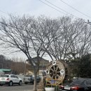 꽃다지 | 울산 오리고기 두왕로 꽃다지 추천, 솔직후기