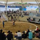 자인계정숲(씨름장) 이미지