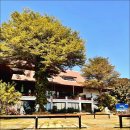 티업골프시티 이미지