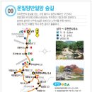 운일암반일암숲길 이미지