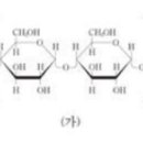 셀룰로오스와 아밀로오스 구조 이미지