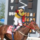 지금이순간 이미지