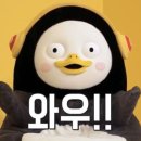 주식회사 일상의가치 네이버블로그