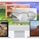 PC 레이스 고 이미지