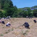 쌍백면사무소 이미지