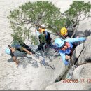 푸른솔길 이미지