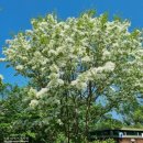 이팝미용 이미지