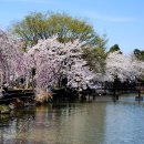 영산 연지 이미지