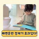 동화로 | 핀덴 그림자동화로 배변훈련 동시에 잡은 현실 후기
