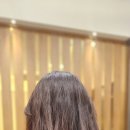 클래시아더퍼스트204호 네이버블로그