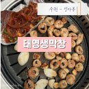 대평로 | 수원 정자동 막창 맛집 태영생막창 후기ㅣ 생막창과 양념껍데기 추천