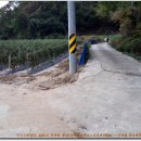 태양종계장 이미지