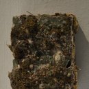 문화예술회관 제2전시실 | 대구문화예술회관 제2회 삼보 미술상 수상작가전, 이호수, 홍유영 개인전