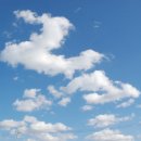 사교농장 이미지