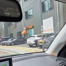 티앤디 동물병원 | 네로 첫 예방접종, 동남지구 티앤디동물병원 후기