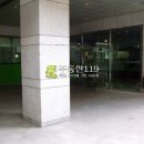 장교동 중구 삼일대로 서울 Daum카페