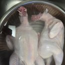 그냥생닭집 | 요리 비어캔 치킨 집에서 만들기 생닭 손질 재료 온도 굽는 시간 에프 나 오븐으로 만드는 방법 후기 리뷰