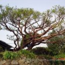 강산농장 이미지