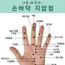다나카페