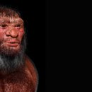 Seed of Li 이미지