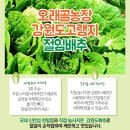 산속골농장 이미지