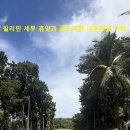 후니골프 네이버블로그