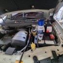 포도모터스 이미지