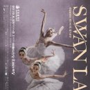 국립발레단 ’백조의 호수’ 이미지