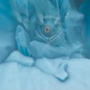 메카 소프트 이미지