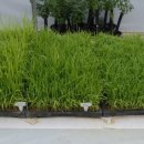 당진시농업기술센터 북부지소 이미지