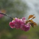 한진 목장 이미지