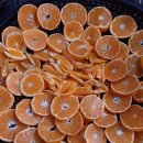 대보농장 이미지