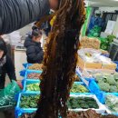 옹가네야채 이미지