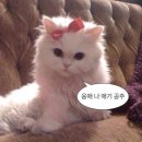 (주)위더스게임 | HAPPY NEW YEAR