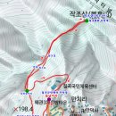 칠곡 왜관 작오산(자고산303.2m) 23년 11월 22일 이미지