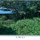 (주)메디온 이미지