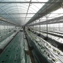 예지농장 이미지