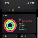햄햄팡팡