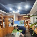 박여진애견미용실 이미지